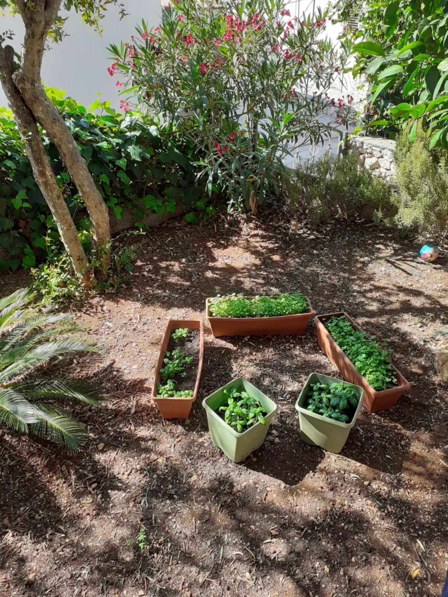 Apartman Gordana Trogir Extérieur photo